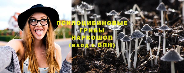 сатива Арсеньев