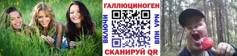 как найти закладки Лихославль Галлюциногенные грибы Psilocybe